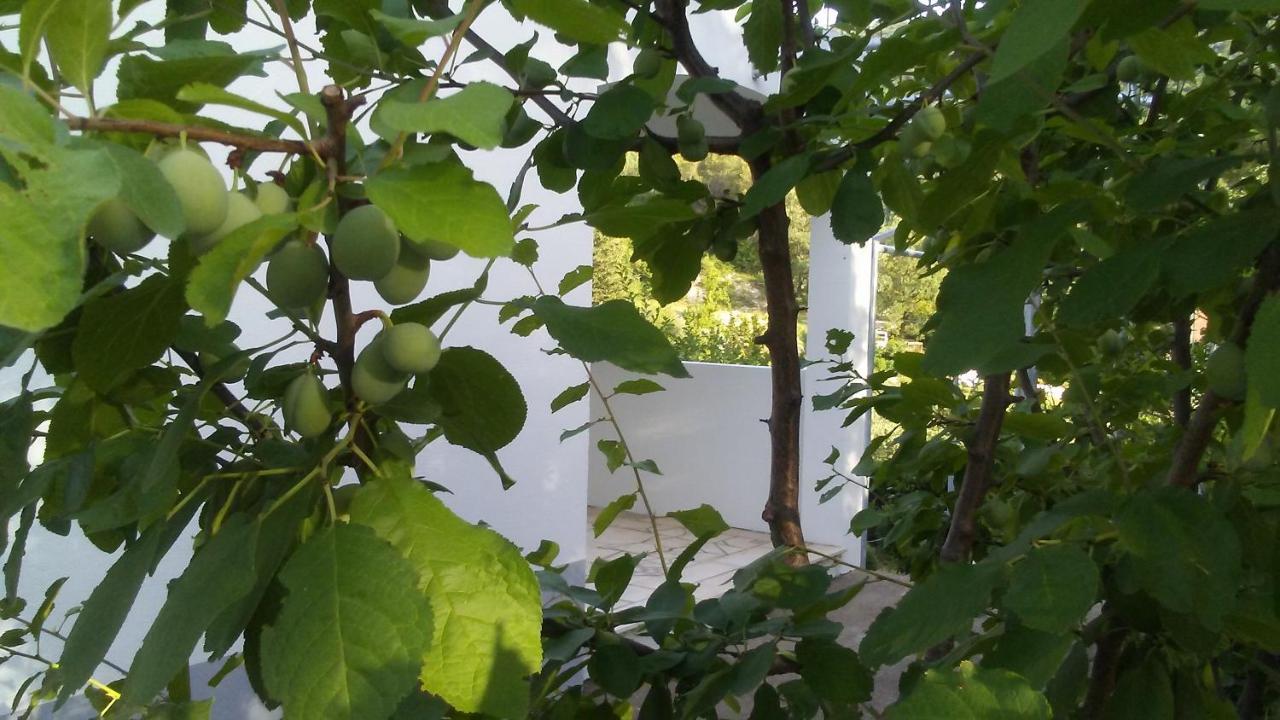 Villa Kuca Za Odmor Maka à Kučiće Extérieur photo