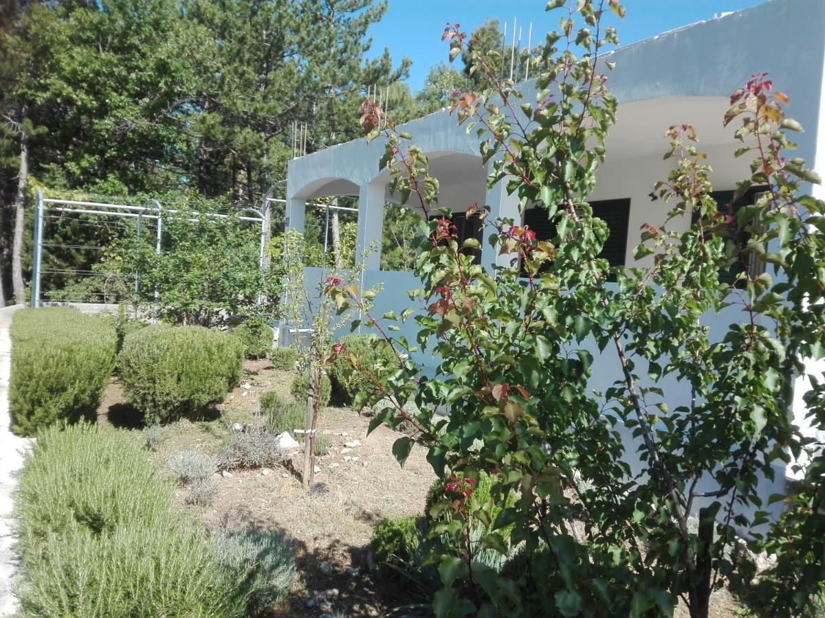 Villa Kuca Za Odmor Maka à Kučiće Extérieur photo