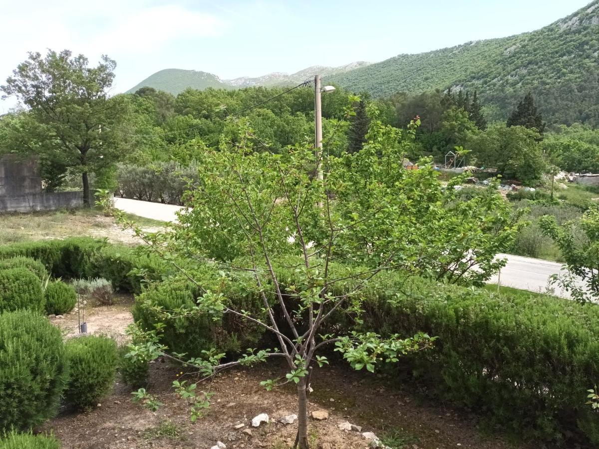 Villa Kuca Za Odmor Maka à Kučiće Extérieur photo