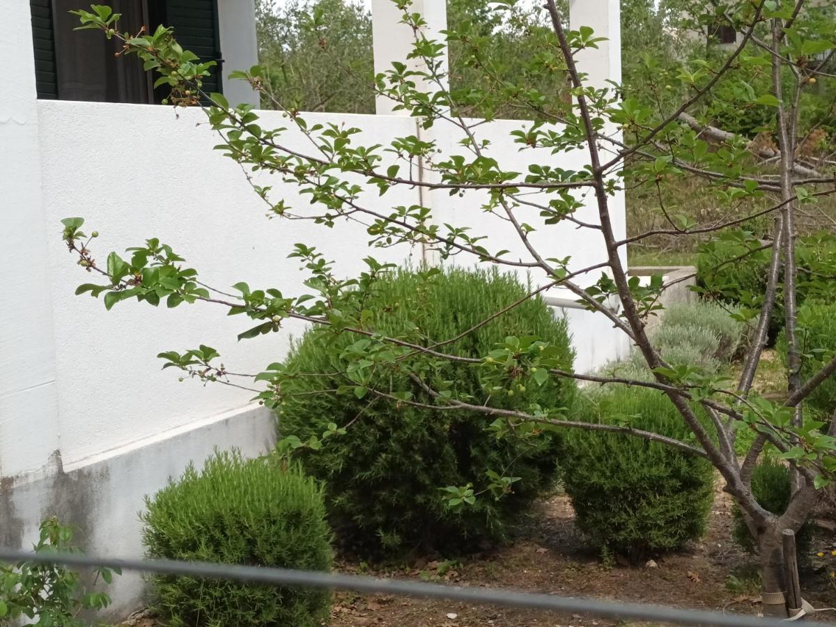 Villa Kuca Za Odmor Maka à Kučiće Extérieur photo